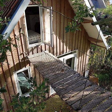 Bij En Boom Bed & Breakfast 德拉赫滕 外观 照片