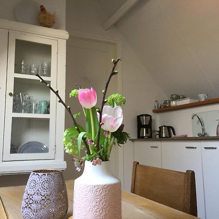 Bij En Boom Bed & Breakfast 德拉赫滕 外观 照片