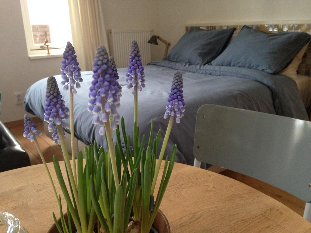 Bij En Boom Bed & Breakfast 德拉赫滕 客房 照片