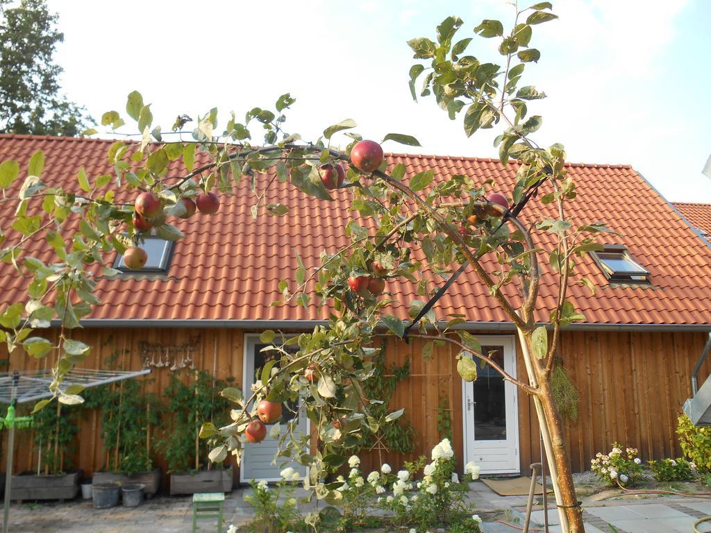 Bij En Boom Bed & Breakfast 德拉赫滕 外观 照片