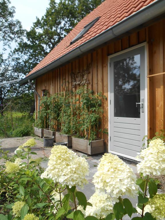 Bij En Boom Bed & Breakfast 德拉赫滕 外观 照片