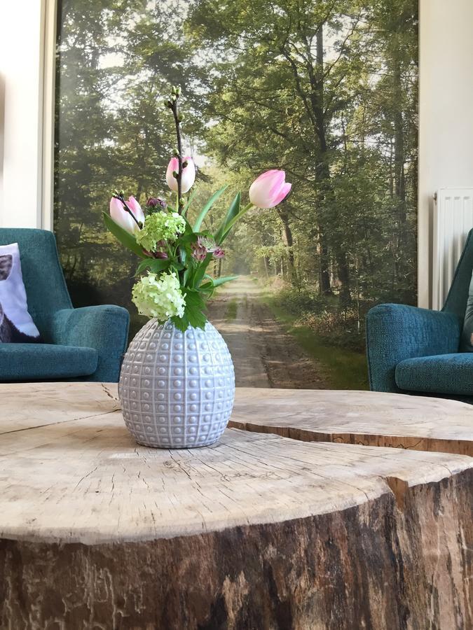 Bij En Boom Bed & Breakfast 德拉赫滕 外观 照片